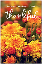 Thankful Flowers Postcard D2782P-BB