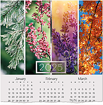 Elegant Seasons Foil Calendar Card C2799U-AAA