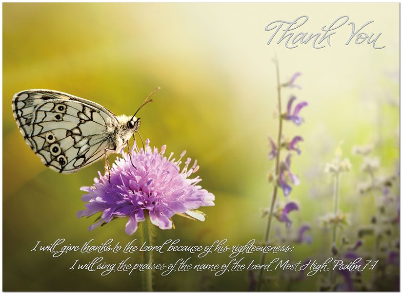 Butterfly Thank You Card A5068U-X