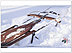 Snow Day Holiday Card 7535U-AA