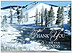 Thank You for your Business Holiday Card 8544U-AA