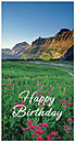 Floral Field Birthday Card 935T-Z