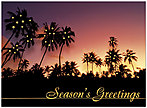 Tropical Greetings Holiday Card 9551U-AA