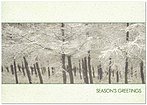 Frosted Trees Holiday Card X590KW-AA
