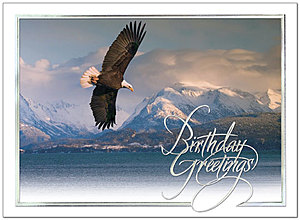 Soaring Eagle Birthday Card 108S-W