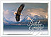 Soaring Eagle Birthday Card 108S-W