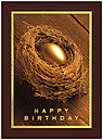 Nest Egg Birthday Card 129U-X