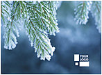Frosted Branch Logo Card D1346U-4B