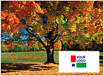 Colorful Tree Logo Card D1250U-4B