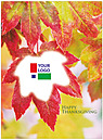 Maple Logo Card D1257U-4B