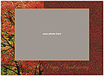 Rustic Pattern Photo Card D1267U-4B