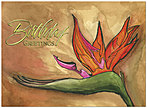 Bird of Paradise Birthday Card A2006G-W
