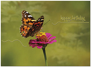 Monarch Dance Birthday Card A2015U-X