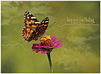 Monarch Dance Birthday Card A2015U-X