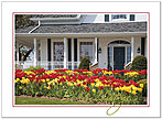 Floral Welcome Birthday Card A2017U-X