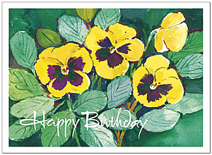Pansies Birthday Card A2025U-Y