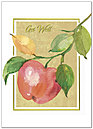Apple a Day Get Well Card A2058D-X