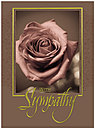 Sentimental Sympathy Card A2066U-X