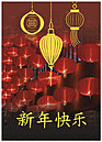 Chinese Lantern New Year Card D2224R-A