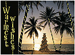 Island Holiday Card H2188U-AA