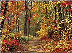 Vibrant Path Thanksgiving Card H2110U-AA