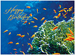 Reef Birthday Card A3022U-X