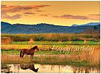Sunset Ranch Birthday Card A3031U-Y