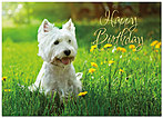 Puppy Dog Birthday Card A3040D-Y