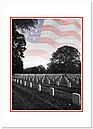 Memorial Day Legacy Card D3079D-Y