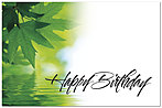 Green Leaves Birthday Postcard D3211P-Z