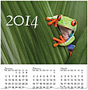Tree Frog Wall Calendar C3121U-AA