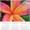 Plumeria Wall Calendar D3132U-AA