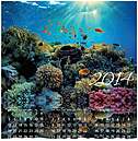 Coral Reef Wall Calendar D3139U-AA