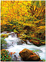 Colorful Stream Card H3096G-AAA