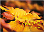 Fall Thanks Card H3097U-AA