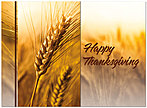 Nature's Harvest Card H3104U-A