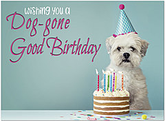 Dog-gone Birthday Card D1463U-Y