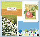 Get Well Assortment AO202