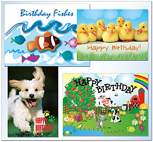 Assortment Packs | Kids Birthday Assortment | AO901