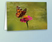 Bulk Floral Birthday Greeting Cards