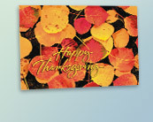 Business Thanksgiving Postcards