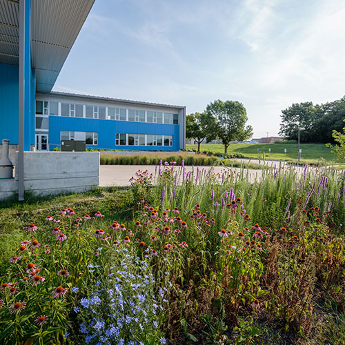 Native plants