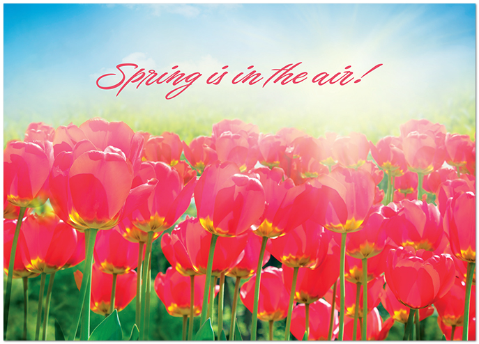 Spring is in the Air D3435D-Y