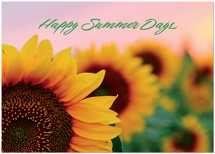 Summer Days D3436D-Y