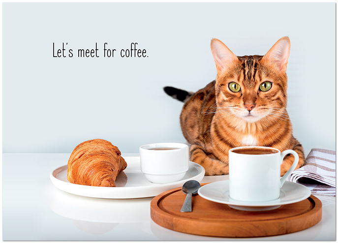 Cat Caffe Meme Card D3440D-V