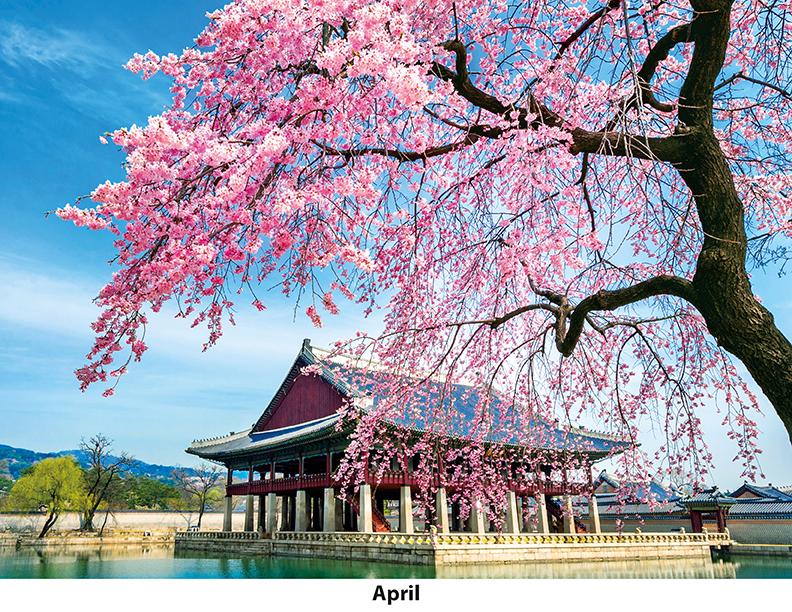 Scenic World Wall Calendar DW27SWM