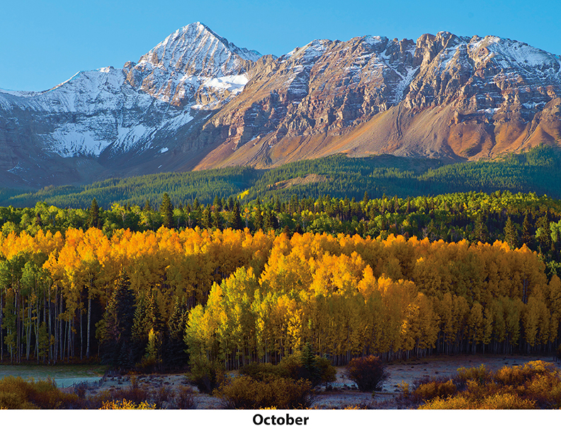 Scenic World Wall Calendar DW27SWM