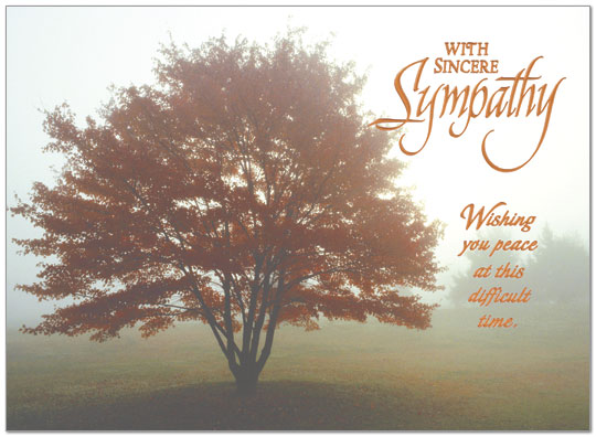 business sympathy cards sympathy tree 742u x