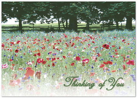 Thinking of You Floral Greeting Card 752D-Y