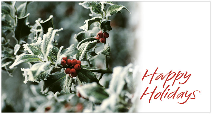 Holly Berries Holiday Card X585T-B
